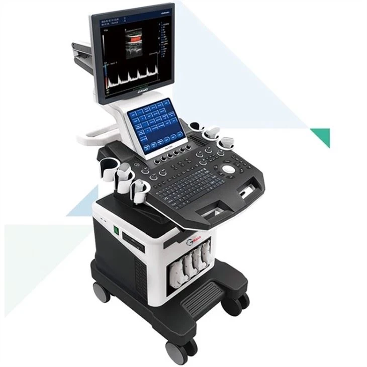 Medical Imaging 4D Doppler Ultrasound